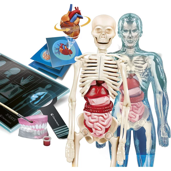 Laboratorio di Anatomia Super Clementoni 19299