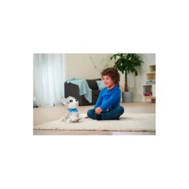 Chi Chi Love Happy Husky Simba