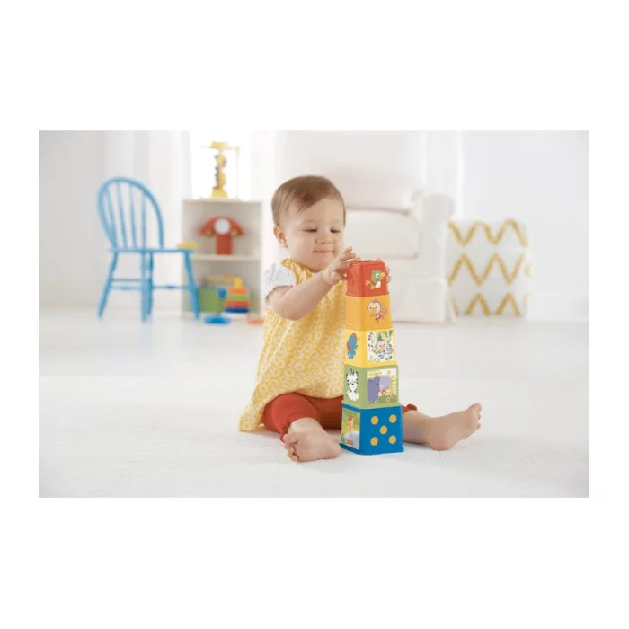 Fisher-Price Blocchi degli Animali, set di 5 blocchi colorati con facce illustrate CDC52