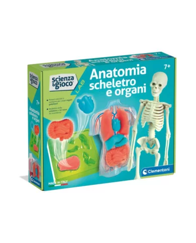 Clementoni Scienza Lab Anatomia – Scheletro e Organi da Assemblare