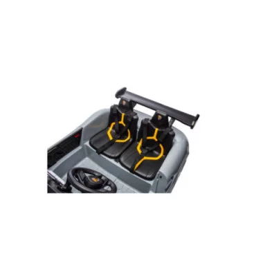 Auto Elettrica Bambini Porsche Ruf Big 24V Grigia con 2 Posti, MP4, Sedili in Pelle, Telecomando e Porte Apribili