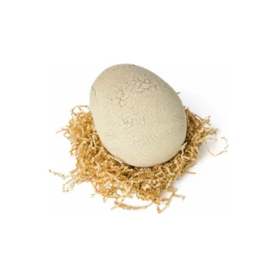 Primal Hatch Jurassic World – Uovo Interattivo T-Rex con 100+ Suoni, Reazioni e Accessori – Giocattolo Bambini 5+ Anni