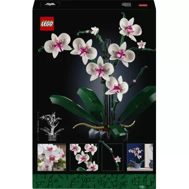 LEGO Botanicals 10311 Orchidea, Set per Adulti da Collezione, Hobby Creativi, Modellino da Costruire con Fiori Finti e Vaso