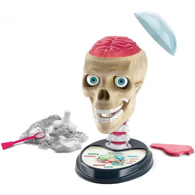 Laboratorio di Anatomia Fuori di Testa Clementoni 19212